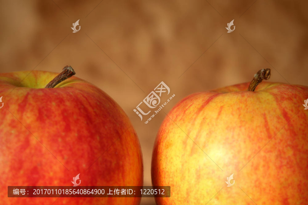 蘋果-匯圖網(wǎng) www.fosd68.com 蘋果