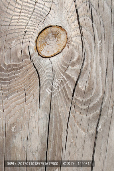 銀灰色的棘手的木材紋理