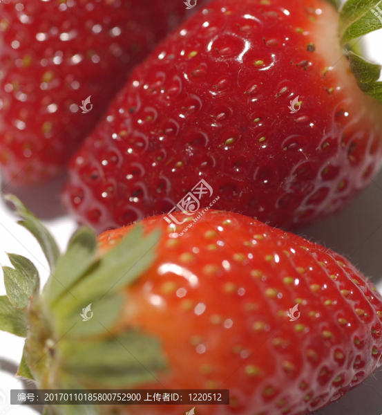 草莓-匯圖網(wǎng) www.fosd68.com 草莓