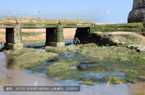 低潮橋-匯圖網(wǎng) www.fosd68.com 低潮橋