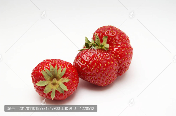 草莓