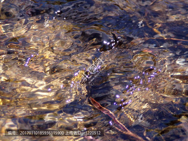 水的結(jié)構(gòu)