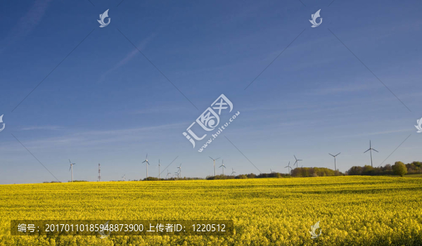 強奸