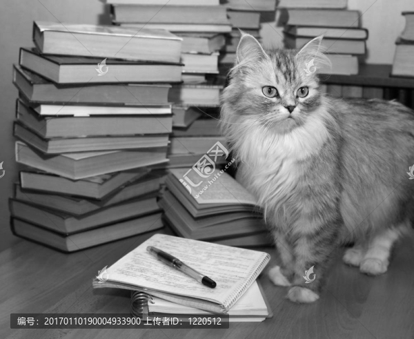藏書家