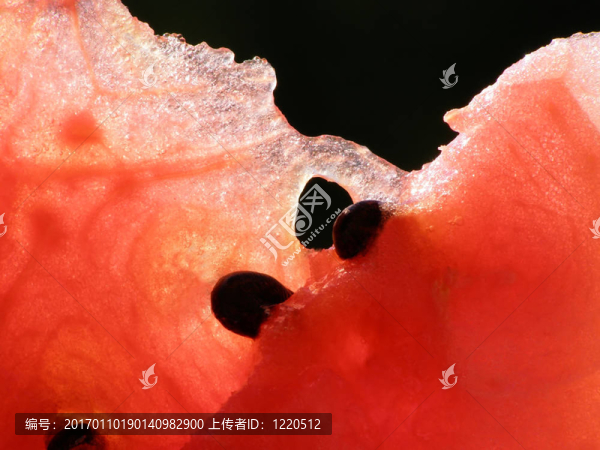 紅西瓜