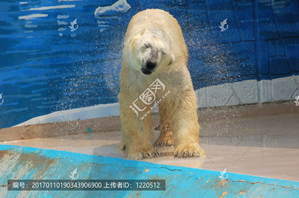 晾干