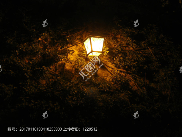 夜晚的燈光
