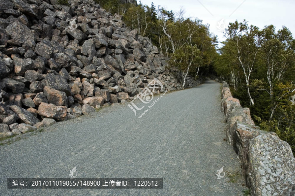 運(yùn)輸?shù)缆?；阿卡迪亞NP