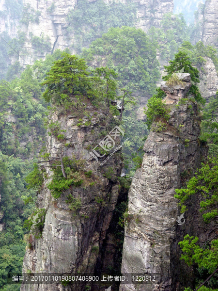 國(guó)家森林公園-匯圖網(wǎng) www.fosd68.com 國(guó)家森林公園