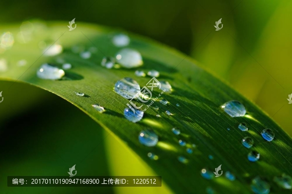滴