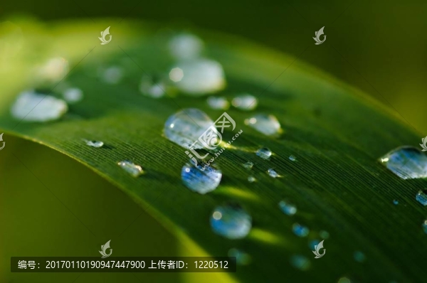 滴