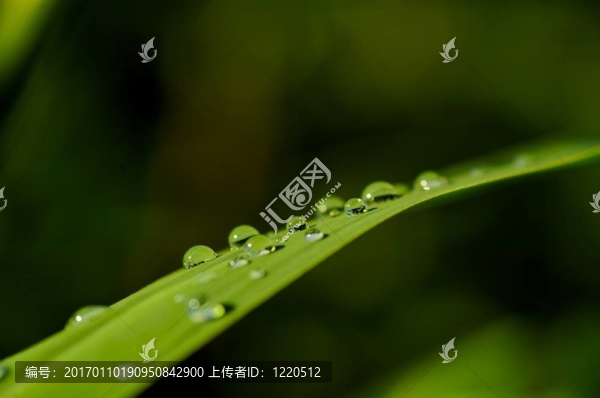 滴
