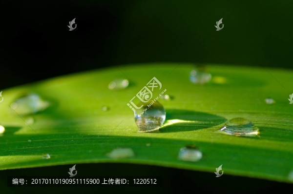滴