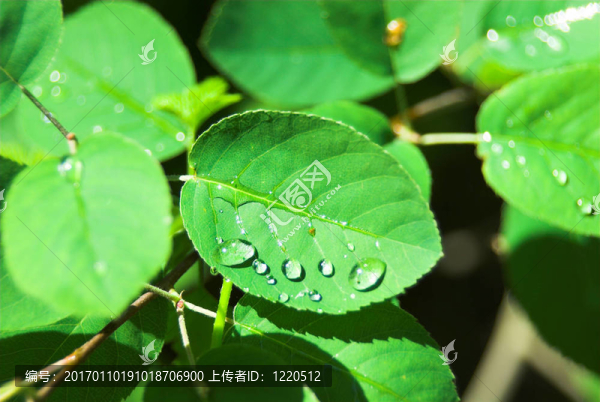 滴