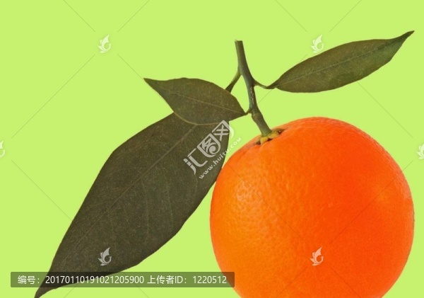 橙色