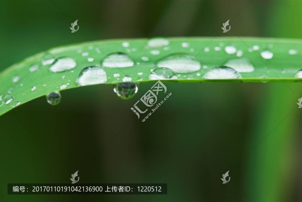 滴