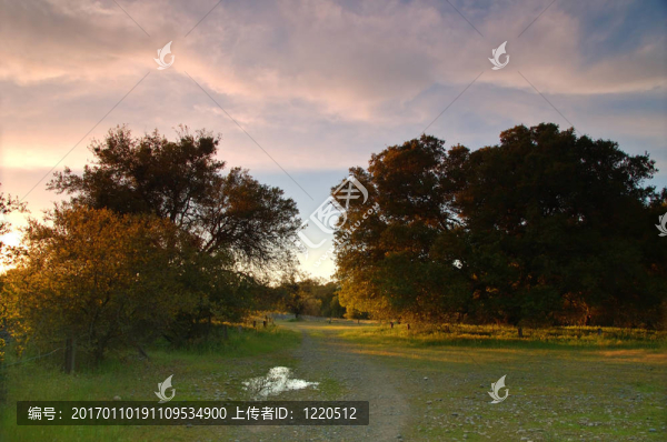 春天的鄉(xiāng)村