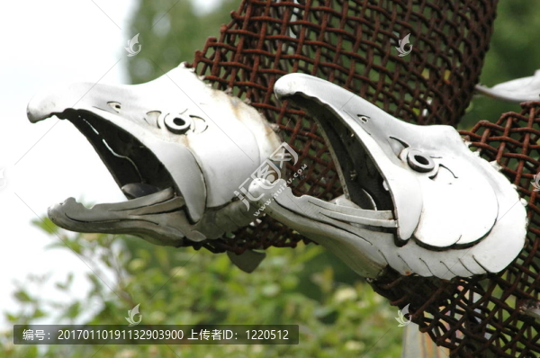 魚的藝術(shù)