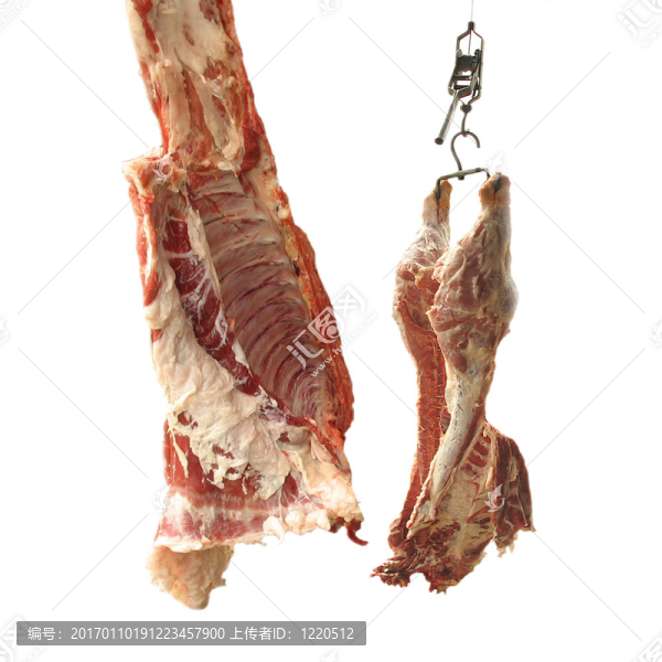 豬肉