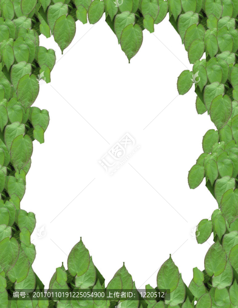 多葉的綠色邊框