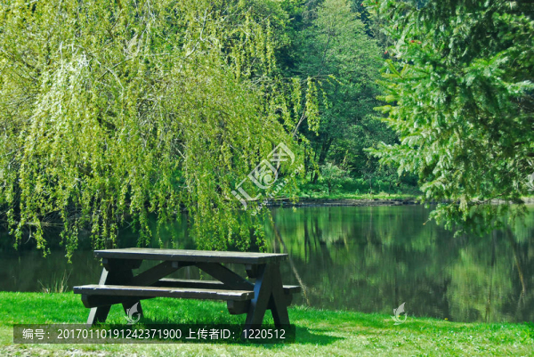 野餐