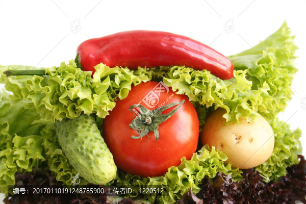 蔬菜三明治。