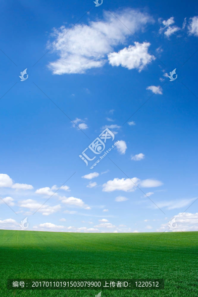 場(chǎng)在春天