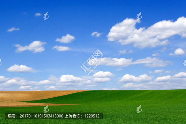 場(chǎng)在春天