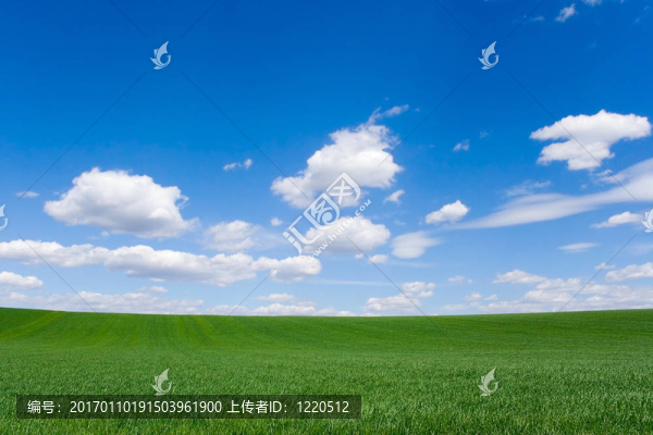 場(chǎng)在春天