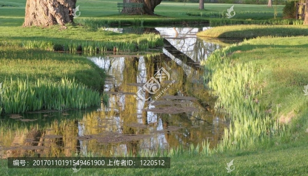 在公園里