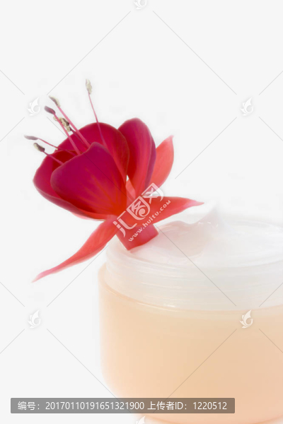 膏體