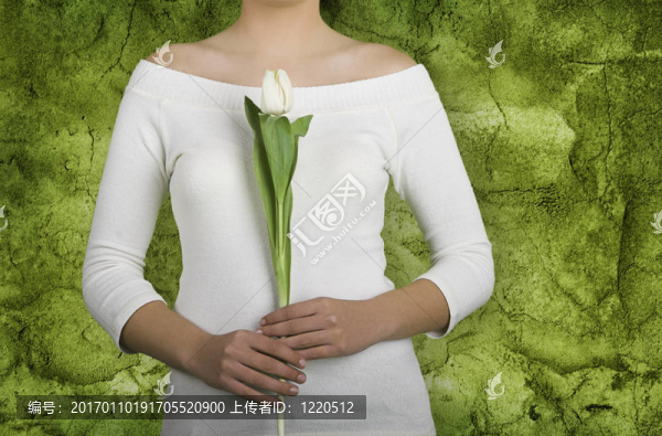郁金香的女人