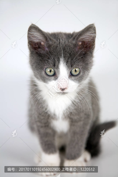 坐在漂亮的-匯圖網(wǎng) www.fosd68.com 坐在漂亮的