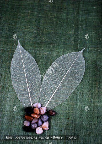 透明葉和小石子