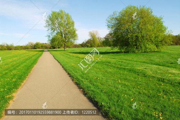 夏天的風(fēng)景