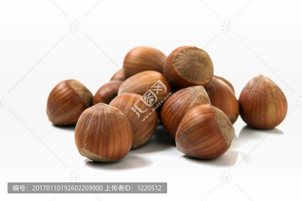 榛子-匯圖網(wǎng) www.fosd68.com 榛子