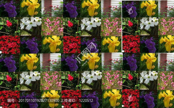 碎花拼貼