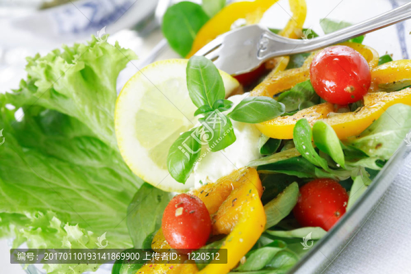 健康沙拉-匯圖網(wǎng) www.fosd68.com 健康沙拉