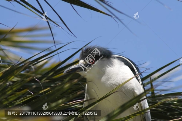 只是有點(diǎn)亂