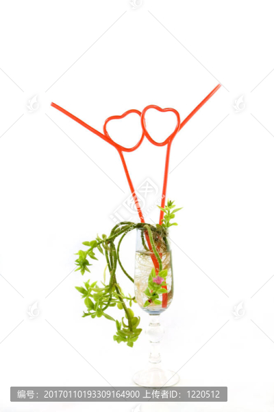 玻璃中的植物和吸管