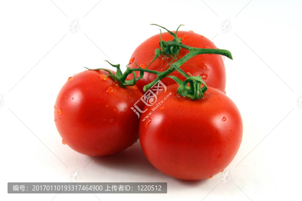 西紅柿