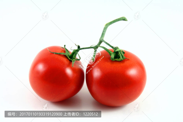 西紅柿