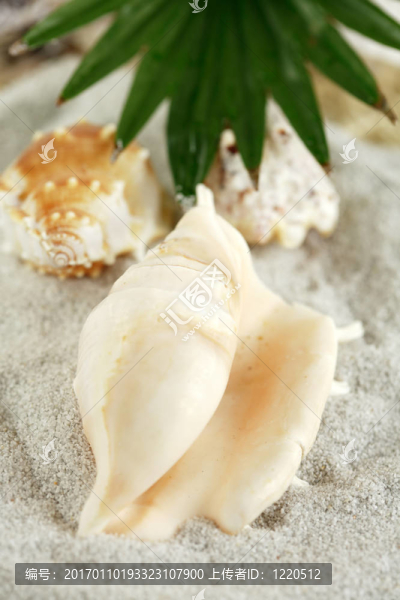 暑假