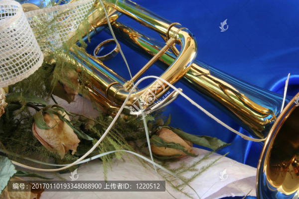 金喇叭和玫瑰