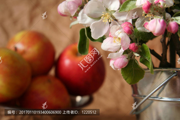 蘋果花