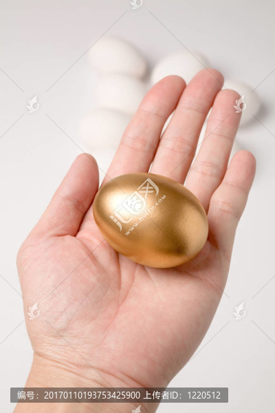 金蛋
