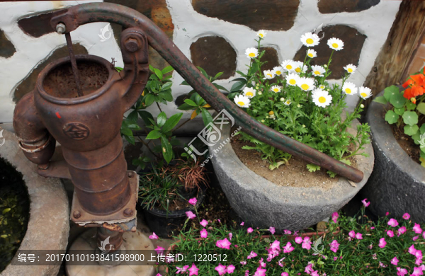 舊水泵和花卉