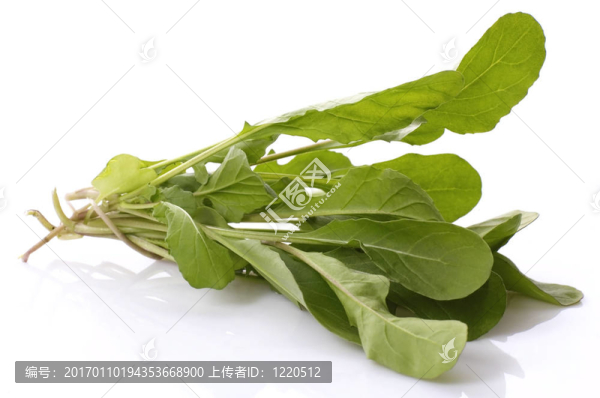 新鮮蔬菜