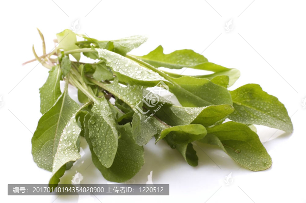 新鮮蔬菜
