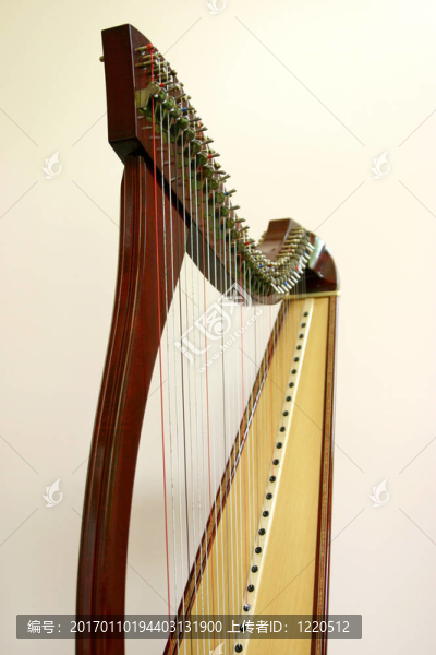 豎琴-匯圖網(wǎng) www.fosd68.com 豎琴